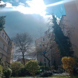 Výstava představí Plzeňské dvorky. Otevřou se v květnu