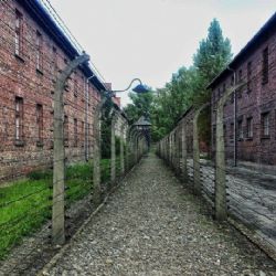 Židovská dívka Věra Kohnová bude mít v Plzni pamětní desku