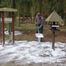 Zvířecí záchranáři žádají: Nekrmte ptáky v Borském parku!