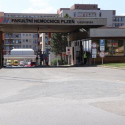 Plzeň pátým rokem podporuje FN, pro zaměstnance poskytla už 21 bytů