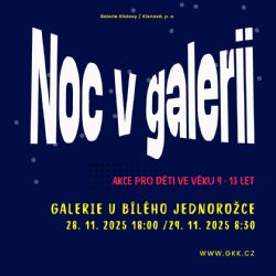 Noc v galerii V.