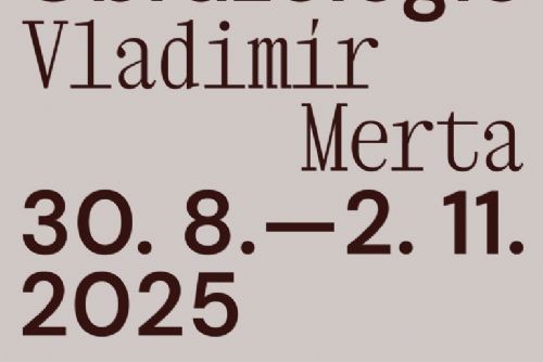 obrázek:Vladimír Merta / Picturology