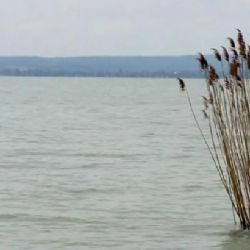 Na dně Balatonu dřímal granát z druhé světové války