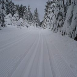 Kraj schválil dotace na lyžařské stopy nebo rodičovská centra