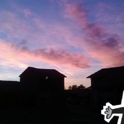 Bezpečnostní služba G-3 s.r.o.: Profesionální a spolehlivá ochrana objektů s důrazem na praxi