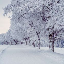 Objevujte zimní přírodu: zábavné a nenáročné aktivity ve sněhu