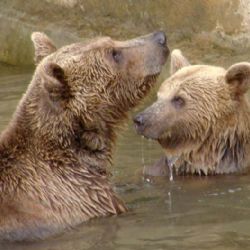 ZOO se těší na 200 tisícího návštěvníka 