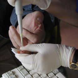 Plzeň má luxusní kliniku na léčbu neplodnosti 