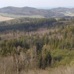 Chráněná oblast Český les prý přiláká turisty
