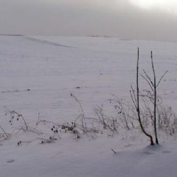 Horská služba Šumava mění náčelníka