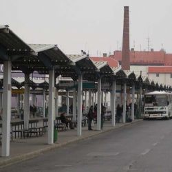 Opilý bezdomovec se psem způsobil rozruch u autobusového nádraží v Plzni