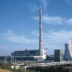 Elektrárna Tisová bude spalovat šťovík