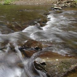 Potok v Klatovech kontaminuje sklad pesticidů