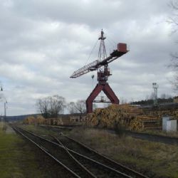Podvodník nezaplatil miliony za dřevo