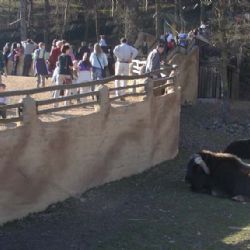Plzeň chce mít v  zoo expozici o Šumavě a Křivoklátsku