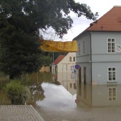 Výstava se prodlužuje