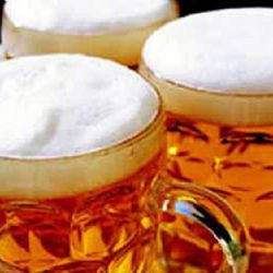 Zvláštní vlak sveze cestující na Pilsner Fest 