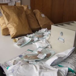 Policisté zlikvidovali 25 kilogramů drog