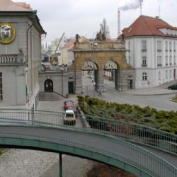 Na Pilsner Fest dnes dorazí olympionici