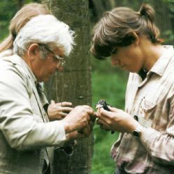 Ornitologové se sešli v Klatovech na kroužkovacím aktivu