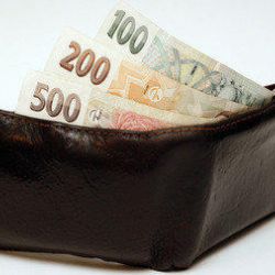  S ledovým klidem okrádala v Plzni seniorky. Nabízela, že jim pomůže s taškou