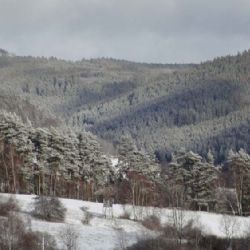 Čeští i němečtí turisté jdou v sobotu na předsilvestrovský Luzný