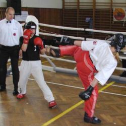 Kickboxeři plzeňské Naramy bojovali na Národním poháru