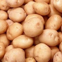 Velhartice lákají na bramboromat
