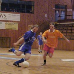 Hala na plzeňských Slovanech přivítá špičkový futsal