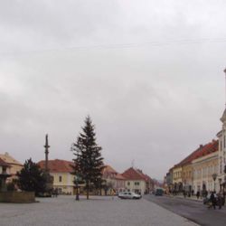 Rokycanský byt navštívil chmaták