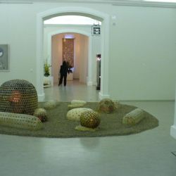 Muzeum jižního Plzeňska bude mít novou ředitelku