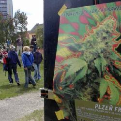Letní škola ArtCamp v Plzni je v plném proudu