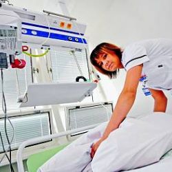 Koronavirus mění zájem o obory: láká sestra, netáhne číšník