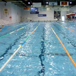 Plzeň podpoří sportovní akademie, kluby i bývalé olympioniky