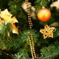 OC Plzeň zve v neděli na první tvořivou adventní dílnu