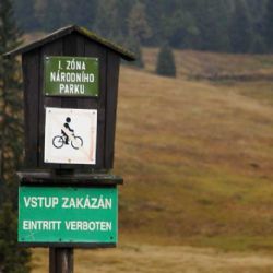 Loňský rok patřil na Šumavě k nejdůležitějším