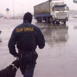Kontrola: Šestadvacet cizinců pracovalo v kraji načerno