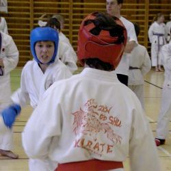 Narama pořádala na Špičáku Letní školu karate