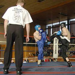 Radek Štádler a Roman Panuška jsou mistry ČR v kick boxu