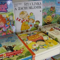 Ředitele knihovny v Plzni vybere výběrové řízení