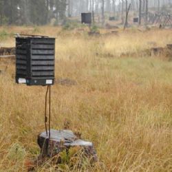 Šumava a Bavorský les spolupracují i na vědecké úrovni 