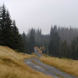 U šumavských Rechlí v pondělí ukáží, jak přežít v přírodě 