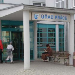 Úřad práce v Plzni o prázdninách zaplnili učitelé