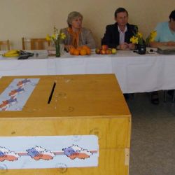 Informační linka sdělí, kde máte místnosti referenda