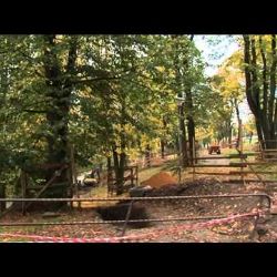 16.10.2014 / Plzeňská vychloubání - Lochotínský park