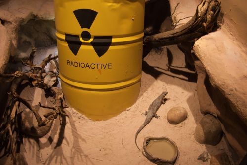 obrázek:Obce u Horažďovic vzdorují radioaktivnímu průzkumu