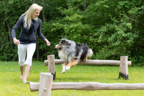 obrázek:Park, hřiště nebo psí loučku? Plzeňáci hlasují o veřejném prostoru