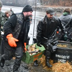 Pytláci kradou ryby - výlov Třemošenského rybníka zklamal očekávání