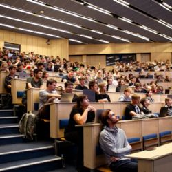 Západočeská univerzita nabízí mikrocertifikáty v psychologii a programování