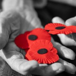 Evropská aliance univerzit EUPeace nabízí nový model spolupráce